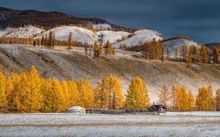 ИХЭНХ НУТГААР ЦАГ АГААР ТОГТУУН, БАГА ЗЭРЭГ ДУЛААРНА