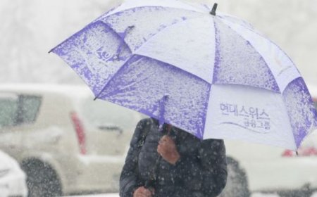 ӨНӨӨДӨР НОЙТОН ЦАС ОРНО