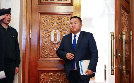 МАН, АН ТӨСВИЙН ЗАРЛАГАА ДНБ-ИЙ 25 ХУВЬ РУУ ОРУУЛНА ГЭСЭН АМЛАЛТАА БИЕЛҮҮЛЭХГҮЙ БАЙГААГ О.ЦОГТГЭРЭЛ ШҮҮМЖЛЭВ