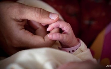 ҮСХ: ТӨРСӨН ХҮҮХДИЙН ТОО ЭНЭ ОНЫ ЕСӨН САРЫН БАЙДЛААР 11.4 ХУВИАР БУУРЧЭЭ