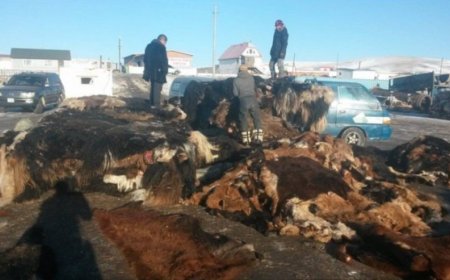 ЭМЭЭЛТ ЗАХЫН ТҮҮХИЙ ЭДИЙН ҮНЭ ХАНШ