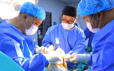 ГССҮТ-ИЙН ЭМЧ НАР ҮЕНИЙ ГАДАРГУУ МӨГӨӨРСИЙГ ШИЛЖҮҮЛЭН СУУЛГАХ МЭС ЗАСЛЫН ШИНЭ ТЕХНОЛОГИЙГ НЭВТРҮҮЛЛЭЭ