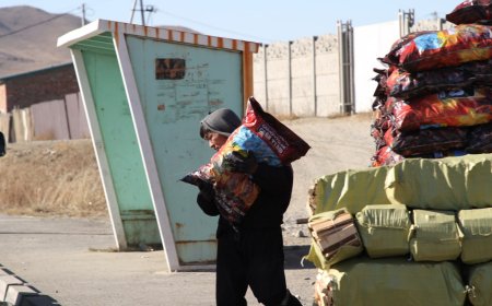 ШАХМАЛ ТҮЛШ БОРЛУУЛАХ 545 ЦЭГ АЖИЛЛАЖ БАЙНА