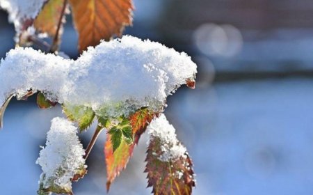 ИРЭХ ДОЛОО ХОНОГИЙН ДУНДУУР ИХЭНХ НУТГААР ХҮЙТЭРНЭ