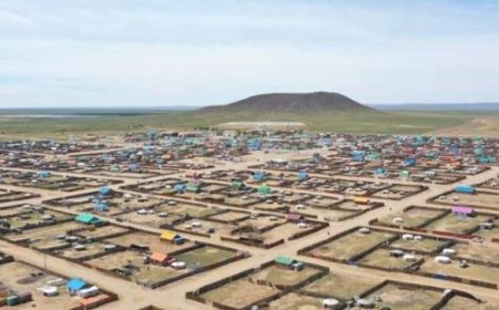 СҮХБААТАР АЙМГИЙН ДАРЬГАНГА СУМАНД БОРОО ОРЖЭЭ