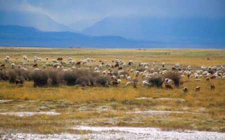 ОЙРЫН ӨДРҮҮДЭД ИХЭНХ НУТГААР ЦАГ АГААР ТОГТУУН БАЙНА