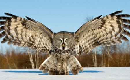 ИХЭНХ НУТГААР ЦАГ АГААР ТОГТУУН, ӨДӨРТӨӨ ДУЛААН БАЙНА