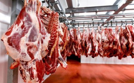 ИДЭШНИЙ ҮХЭР 1.1-2.2 САЯ ТӨГРӨГИЙН ҮНЭТЭЙ БАЙНА