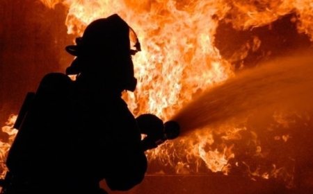 СЭРЭМЖЛҮҮЛЭГ: АЙЛЫН НАМ ДАРАЛТЫН ЗУУХ БУУДАЖ, ГАЛ ГАРЧЭЭ