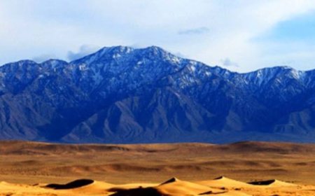 МОНГОЛ-АЛТАЙН УУЛАРХАГ НУТГААР ЦАС ОРЖ, ЦАСАН ШУУРГА ШУУРНА