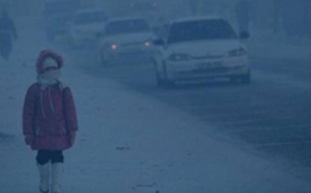 САЙЖРУУЛСАН ТҮЛШНИЙ ҮЙЛДВЭРИЙГ ИРГЭДИЙН ГОМДЛООР ШАЛГАЖ ЭХЭЛЛЭЭ