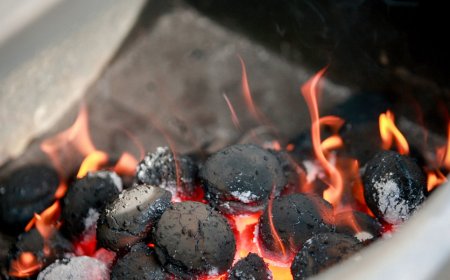 ШАХМАЛ ТҮЛШ МОНГОЛ УЛСЫН СТАНДАРТЫГ БҮРЭН ХАНГАЖ БАЙНА ГЭСЭН ДҮГНЭЛТ ГАРЧЭЭ