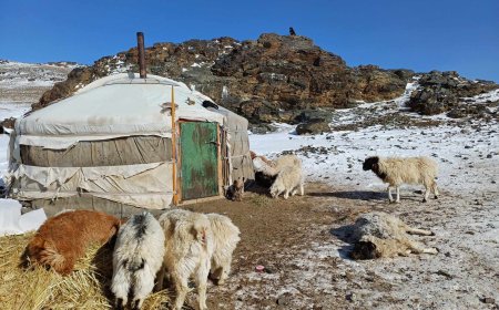 ОДООГООР 11 АЙМГИЙН 34 СУМ ЗУДЫН БАЙДАЛТАЙ БАЙНА