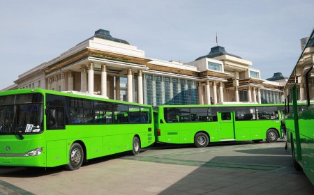НОГООН АВТОБУСНЫ ГЭХ ХЭРГИЙН ШҮҮХ ХУРАЛ 8 ДАХЬ УДААГАА ХОЙШИЛЛОО
