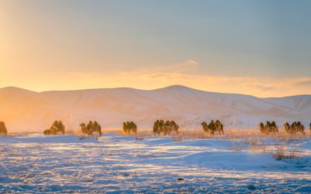 ХҮЙТНИЙ ЭРЧ ЧАНГАРНА