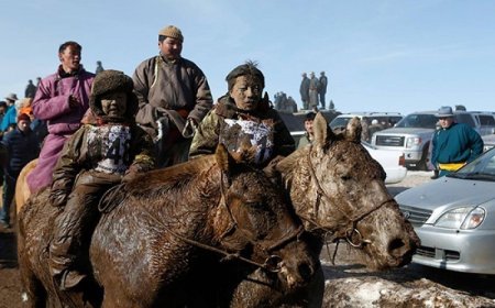 ХАВРЫН МОРИН УРАЛДААНЫГ ЭСЭРГҮҮЦЭЖ, ЦАХИМ ӨРГӨДӨЛД ГАРЫН ҮСЭГ ЦУГЛУУЛЖ ЭХЭЛЖЭЭ