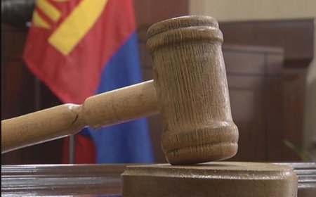 308 МЯНГАН ТӨГРӨГИЙН ЭД ЗҮЙЛ ХУЛГАЙЛСАН ХОЁР ИРГЭНД ТУС БҮР НЭГ ЖИЛИЙН ХОРИХ ЯЛ ОНООЛОО