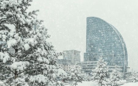 НИЙСЛЭЛИЙН ДИЙЛЭНХ БАЙРШИЛД АГААР ЦЭВЭР БАЙНА