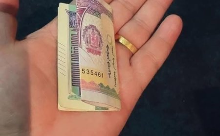 ТӨРИЙН ӨМЧИТ СУРГУУЛЬ, ЦЭЦЭРЛЭГИЙН БАГШ, АЖИЛЧДАД САР БҮР ХООЛНЫ МӨНГӨ ӨГНӨ