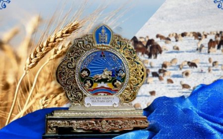 ЭНЭ ЖИЛ УЛСЫН АВАРГА МАЛЧИН, ТАРИАЛАНЧ, СААЛЬЧИНААР 23 ХҮНИЙГ ШАЛГАРУУЛЖЭЭ