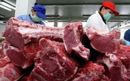 ҮХРИЙН ЦУЛ МАХ КИЛОГРАММ НЬ 22 585 ТӨГРӨГИЙН ҮНЭТЭЙ БАЙНА