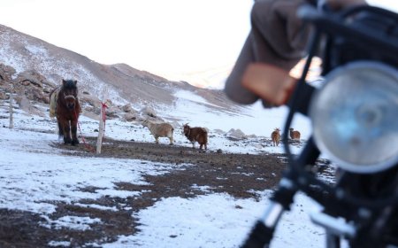 ӨВӨЛЖИЛТ ХҮНДЭРСЭН ЗАРИМ СУМД МАЛЧДАА ТАТВАРААС ЧӨЛӨӨЛЖ БАЙНА
