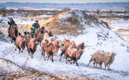 ТАНИЛЦ: АРАВ ХОНОГИЙН ЦАГ АГААРЫН УРЬДЧИЛСАН ТӨЛӨВ