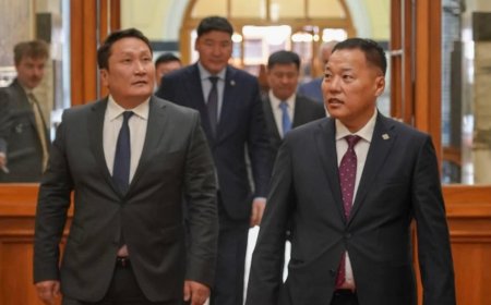АРДЧИЛСАН НАМЫН ТӨЛӨӨЛӨГЧИД ШИНЭ ЗЕЛАНДАД АЖИЛЛАЖ БАЙНА