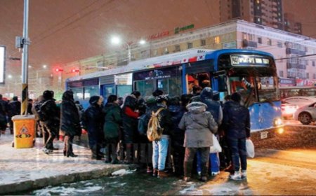 БҮХЭЭГТЭЭ ТАМХИ ТАТСАН, ЗОРЧИГЧИЙН ГАРЫГ ХААЛГАНД ХАВЧУУЛСАН ЗЭРЭГ ЗӨРЧИЛ ГАРГАСАН 13 ЖОЛООЧИД АРГА ХЭМЖЭЭ АВЧЭЭ