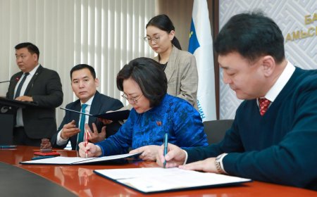 АГААРЫН БОХИРДЛЫГ БУУРУУЛАХ ЧИГЛЭЛД 8 КОМПАНИ 500 САЯАС 5 ТЭРБУМ ТӨГРӨГИЙН ХӨРӨНГӨ ОРУУЛАЛТ ХИЙХЭЭР ГЭРЭЭ БАЙГУУЛЛАА