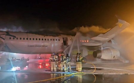 ХҮЧТЭЙ ЦАСАН ШУУРГАНЫ УЛМААС ТОРОНТОГИЙН НИСЭХ БУУДАЛД ОНГОЦ ХӨМӨРЧ, НАЙМАН ЗОРЧИГЧ БЭРТЖЭЭ