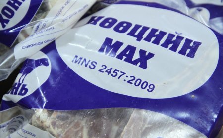 НӨӨЦИЙН МАХЫГ 446 ХҮНСНИЙ ДЭЛГҮҮРЭЭР ХУДАЛДААЛЖ БАЙНА