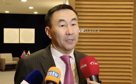 УЛС ДОТОР УХААХУДАГ ГЭДЭГ “УЛС” БАЙСАН ЮМ УУ?!