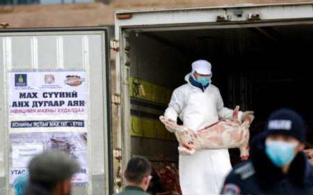 ДАВАА ГАРАГААС НИЙСЛЭЛИЙН 18 БАЙРШИЛД НӨӨЦИЙН ХОНИНЫ МАХЫГ ГУЛУУЗААР НЬ ХУДАЛДААЛНА