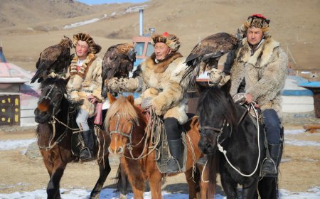 “БҮРГЭДИЙН БАЯР-2025” НААДАМД ДОТООДЫН 22, ГАДААДЫН 2 БҮРГЭД ГАРШУУЛАГЧ ОРОЛЦОНО