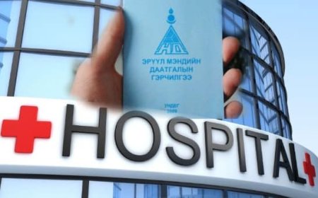 ЭМД-ААРАА ХӨНГӨЛӨЛТТЭЙ ҮНЭЭР ХЭВТЭН ЭМЧЛҮҮЛЭХ БОЛОМЖТОЙ ХУВИЙН 82 ЭМНЭЛГҮҮДИЙН ШИНЭЧИЛСЭН ЖАГСААЛТ, УТАСНЫ ДУГААРУУД