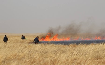СҮХБААТАР АЙМГИЙН ЭРДЭНЭЦАГААН СУМАНД ТҮЙМЭР ГАРЧЭЭ
