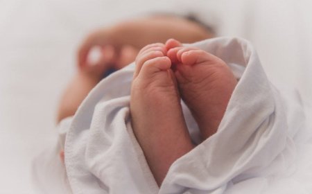 ТӨРӨЛТ БОЛОН АМЬД ТӨРСӨН ХҮҮХДИЙН ТОО БУУРАВ