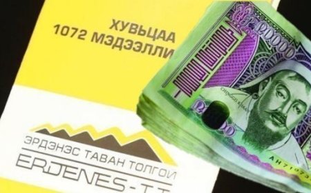 1072 ХУВЬЦААНЫ НОГДОЛ АШГИЙН ҮЛДЭГДЛИЙГ ЭНЭ САРД ОЛГОНО
