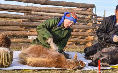 ХАНШ: ОРОН НУТАГТ НООЛУУРЫГ 110-140 МЯНГА ХҮРТЭЛХ ТӨГРӨГӨӨР АВЧ БАЙНА