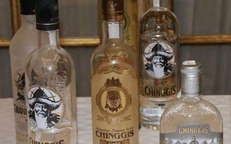 ЧИНГИС ХААНЫ НЭР, ДҮРИЙГ АРХИ БОЛОН БУСАД БҮТЭЭГДЭХҮҮНИЙ БРЕНДИНГ, СУРТАЛЧИЛГААНД АШИГЛАХЫГ ХОРИГЛОХ ӨРГӨДЛИЙГ 9 МЯНГАН ИРГЭН ДЭМЖЖЭЭ