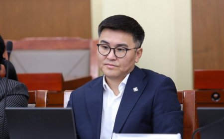 Ч.Лодойсамбуу: Эрх чөлөөг хууль, дүрмээр хэт барих тусам хумигддаг