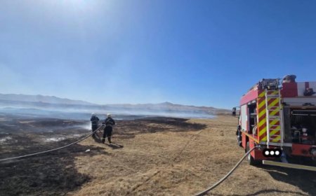 БУЛГАН АЙМГИЙН ХАНГАЛ СУМАНД ГАРСАН ТҮЙМРИЙГ ЦУРМАНД ОРУУЛЖЭЭ