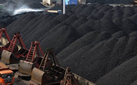 МОНГОЛ УЛС ХЯТАД РУУ ЖИЛД 100 САЯ ТОНН НҮҮРС ЭКСПОРТОЛОХ АМБИЦТАЙ БАЙГАА Ч ҮҮНИЙ ТУЛД ХЭД ХЭДЭН ТОМООХОН СОРИЛТУУДТАЙ ТУЛГАРЧ БАЙНА