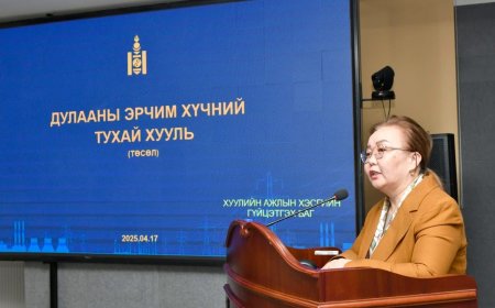 ЭРЧИМ ХҮЧНИЙ ЗОХИЦУУЛАХ  ХОРООНД ДУЛААНЫ ЭРЧИМ ХҮЧНИЙ ТУХАЙ ХУУЛИЙН ТӨСЛИЙГ ТАНИЛЦУУЛАВ