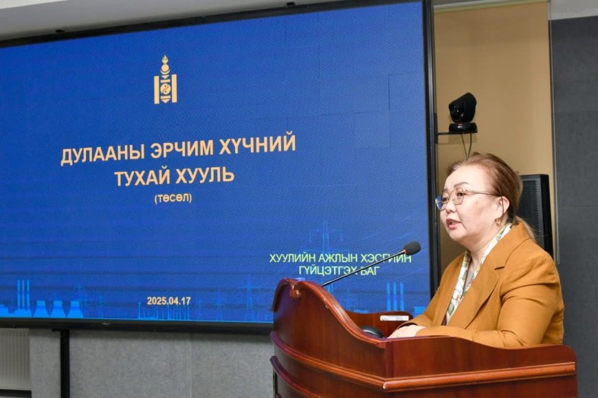 ЭРЧИМ ХҮЧНИЙ ЗОХИЦУУЛАХ ХОРООНД ДУЛААНЫ ЭРЧИМ ХҮЧНИЙ ТУХАЙ ХУУЛИЙН ТӨСЛИЙГ ТАНИЛЦУУЛАВ