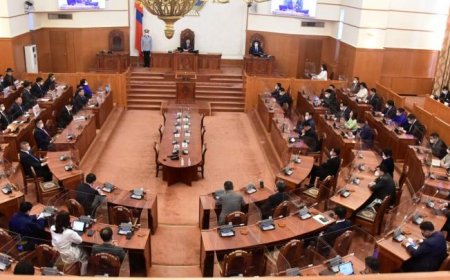 ИРЦ: 7 ГИШҮҮН ГАДААДАД БАЙНА, 3 ГИШҮҮН ЭНГИЙН ЧӨЛӨӨТЭЙ, 5 ГИШҮҮН ЭМНЭЛГИЙН ЧӨЛӨӨТЭЙ, 22 ГИШҮҮН ТАСАЛЖЭЭ