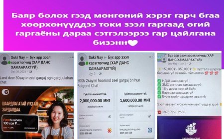 “ЗЭЭЛИЙН АПП-ЫН ЭРХ НЭМЭГДҮҮЛЖ ӨГНӨ” ГЭЖ БУСДЫГ ЗАЛИЛСАН ХЭРГИЙГ ИЛРҮҮЛЛЭЭ