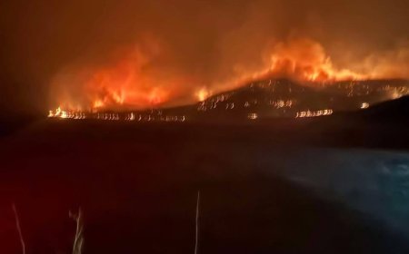 ГАЛ ШАТАМХАЙ ЗҮЙЛТЭЙ БОЛГООМЖГҮЙ ХАРЬЦСАНЫ УЛМААС ХҮНИЙ АМЬ ХОХИРСОН, ₮50 САЯАС ДЭЭШ ХОХИРОЛ УЧРУУЛСАН БОЛ ХОРИХ ЯЛ ШИЙТГЭНЭ