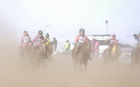 ИХ НАСНЫ МОРЬ УНАЖ УРАЛДСАН ЗУРГААН НАСТАЙ ХҮҮХЭД МОРИНООС УНАЖ, ГЭМТЖЭЭ